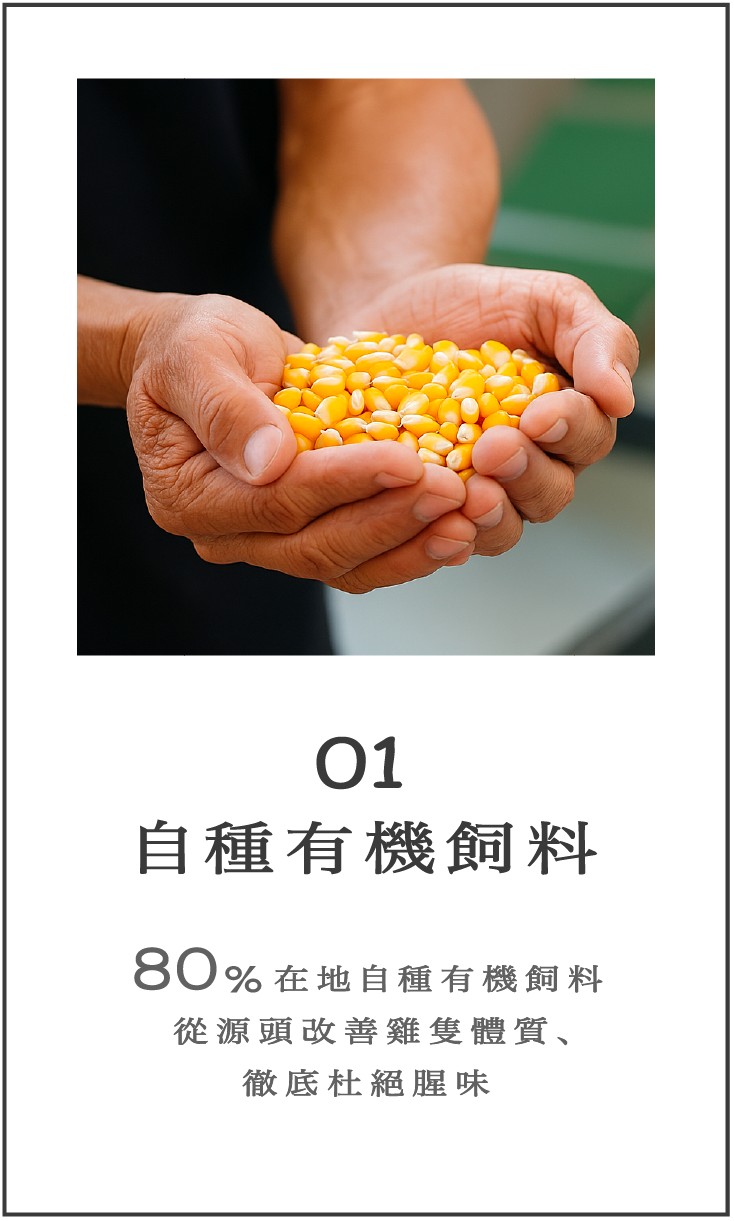 01 自種有機飼料
