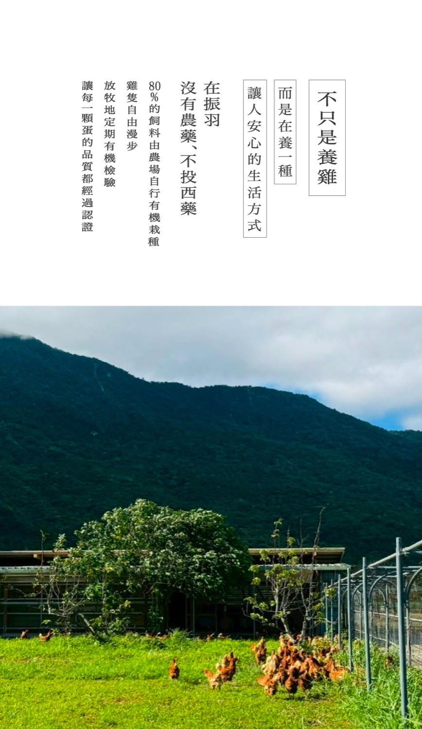 不只是養雞,而是在養一種讓人安心的生活方式